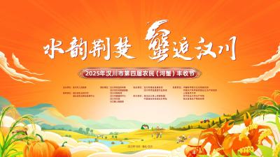 回播 | 2025年汉川市第四届农民（河蟹）丰收节活动