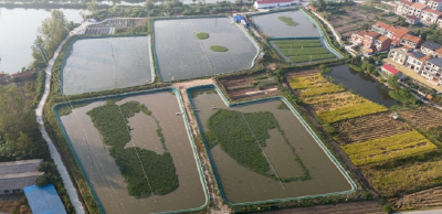 黄梅分路镇蟹塘迎丰收， “小精高”养殖蹚出致富路