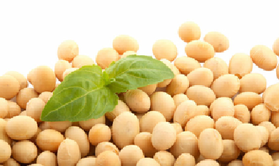 豆粕近期弱势行情将持续