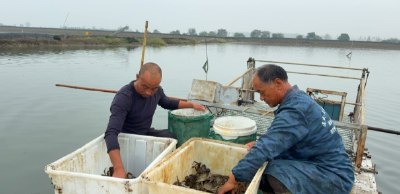 汉川河蟹“闯世界” 鲜活品首次出口越南