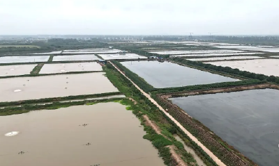 蔡甸消泗：用大数据“养”鱼，获国家绿色认证