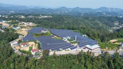 宜昌：水能光能双循环 生态养殖新模式——长阳东海堂农场水产养殖模式创新实践