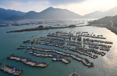 《渔业补贴协定》生效对全球渔业治理有何影响？