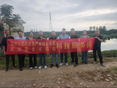 团头鲂“华海2号”丰收在望 新质生产力驱动渔业革新