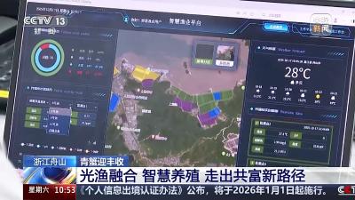 光伏板给螃蟹撑起“遮阳篷”？舟山青蟹迎来大丰收