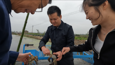 蟹肥藕壮稻飘香，应城绿色农产品激活乡村振兴新动能