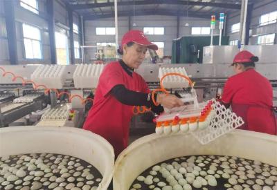 内地供港冰鲜禽肉的检验检疫要求