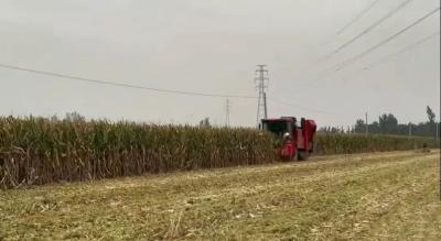 应对秋收阴雨天气，全力发挥烘干机作用！