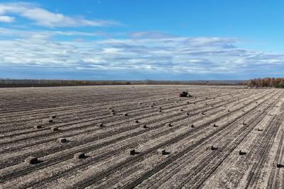 今年黑龙江省秸秆综合利用这样“补”！