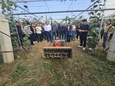 智能农机点亮西安果业！