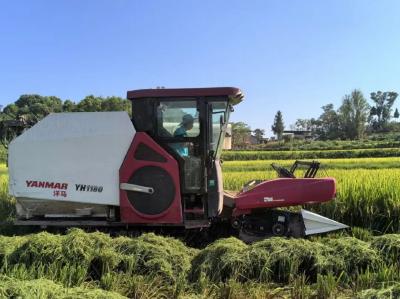 重庆水稻“三统一” 单产提升超预期