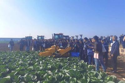 “甘蓝坦克”“栽苗摩托”……全国“农场卷王”齐聚湖北，谁是田间最靓的仔 
