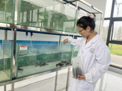 潜江：青科突击队下塘 四季有虾出笼