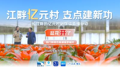 回播 | 江畔亿元村 支点建新功:盆花开了