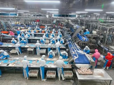 我国牵头制定的首项家禽屠宰领域国际标准发布 