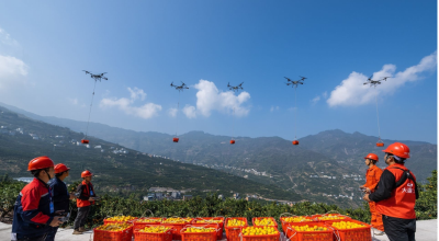 "秭归飞手"惊艳亮相全国劳务品牌大会 科技赋能橙乡展翅高飞