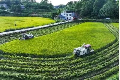 聚焦两大领域冲刺700亿！又一地农机发展方案征求意见