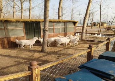 沙洋：“农机手拉手” 跨区互助破解秸秆利用难题 