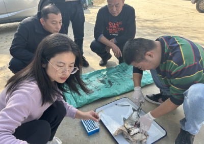 安陆：精准检测护鱼安！“五大行动”再提速