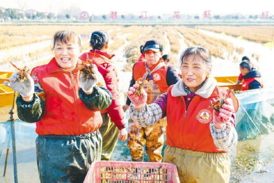 潜江：网红虾搅热冬季餐桌