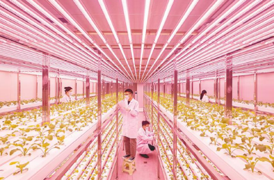 智耕沃野 新时代鱼米之乡迈向农业强省