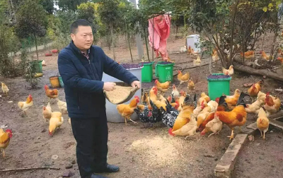 随州：“养鸡哥”带动七千农户增收