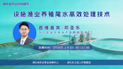 回播丨设施渔业养殖尾水高效处理技术