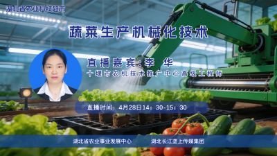 回播丨蔬菜生产机械化技术