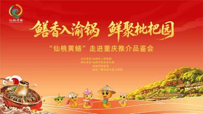 直播丨鳝香入渝锅 鲜聚枇杷园