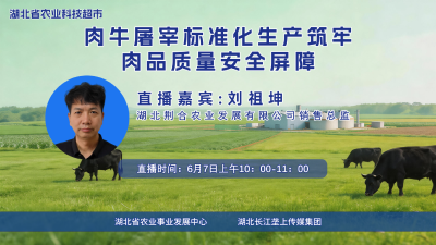 回播丨肉牛屠宰标准化生产筑牢肉品质量安全屏障