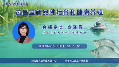 回播丨武昌鱼新品种培育和健康养殖
