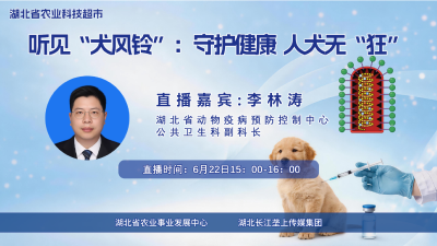 直播丨听见“犬风铃”：守护健康，人犬无“狂”