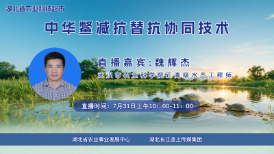 回播丨中华鳖减抗替抗协同技术