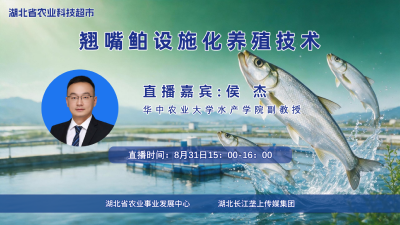 回播丨翘嘴鲌设施化养殖技术