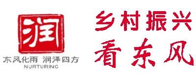 公司扶贫攻坚工作领导小组更名为公司乡村振兴领导小组