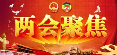 东风公司全国两会代表委员积极建言献策履职尽责