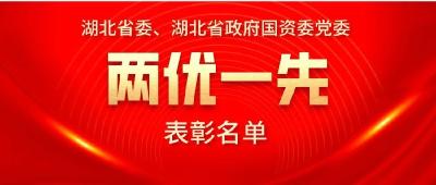 东风多个先进集体（个人）获“两优一先”表彰