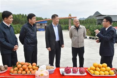 东风化雨润马山 乡村振兴再出发