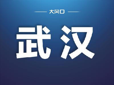 武汉经开区拓展“车谷”版图