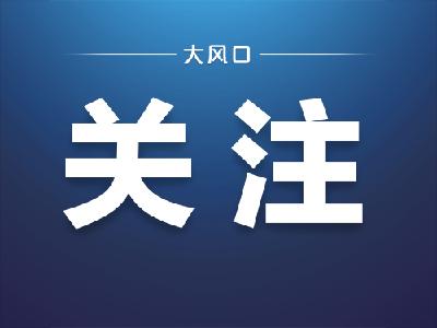 ​ 高质量发展调研行|中国汽车报网：​ 遇见不一样的东风