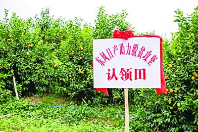 马山振兴有东风 | 东风日产获“乡村振兴贡献奖”