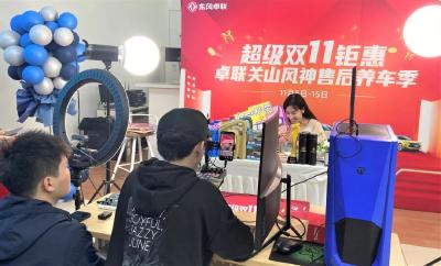 ​抢抓“双十一”  东风整车品牌线上线下双出击
