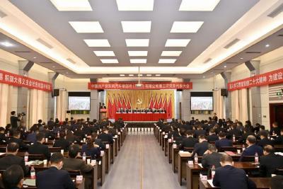 中国共产党东风汽车零部件（集团）有限公司第三次党员代表大会召开