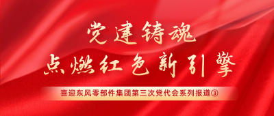 喜迎党代会系列报道③ | 党建铸魂 点燃红色新引擎