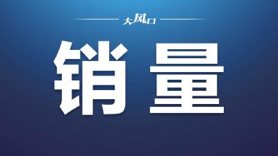 加速产品布局 完善工业化能力 1-11月东风新能源车销量超41万辆