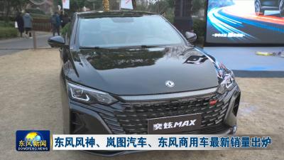 东风风神、岚图汽车、东风商用车最新销量出炉