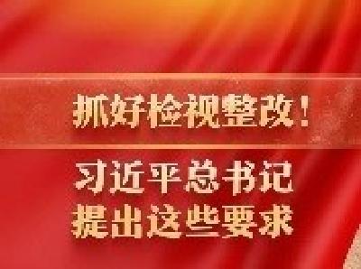 主题教育进行时丨抓好检视整改！习近平总书记提出这些要求