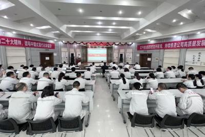 东风科技（东风零部件）党委第三巡察组进驻东风模冲