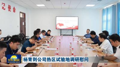 杨青到公司热区试验地调研慰问