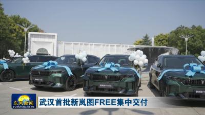 武汉首批新岚图FREE集中交付